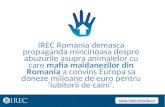 Cum defaimeaza Romania ONG-urile pro-maidanezi