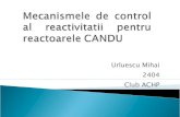 Mecanismele De Control Al Reactivitatii Pentru Reactoarele CANDU6