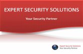 Expert Security Solutions