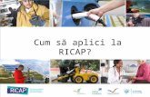 RICAP: procesul de aplicatie
