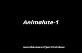 Animalute 1
