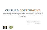 Ruslan Cojocaru: Cultura corporativa