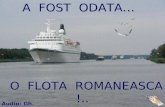 A fost-odată o flotă românească...