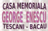 Casa Memoriala George Enescu.N