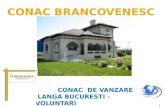 Conac brancovenesc langa Bucuresti, Voluntari
