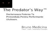 The Predator’s Way - Calea Pradatorului