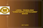 Prezentarea Liceului Tehnologic Baicoi si oferta de scolarizare 2017-2018