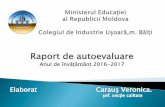 Raport de autoevaluare. Carauș V. 04.07.2017