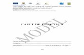CAIET DE PRACTICA - proiect155945.usamv.roproiect155945.usamv.ro/.../Documente/Model_Caiet_de_Practica.pdf · CAIET DE PRACTICA Nume si prenume student ... ,,Practica de specialitate”