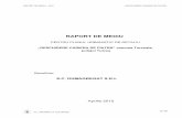 RAPORT DE MEDIU - IPROMIN – proiectare miniera si ...ipromin.ro/Raport de mediu S.C DUMAGREGAT S.R.L.pdf · Câteva aspecte importante legate de procedura evaluarii strategice de