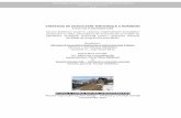 STRATEGIA DE DEZVOLTARE TERITORIALĂ A ROMÂNIEI. Raport_Cadrul natural si... · ecologic, premisă pentru abordarea problemelor de dezvoltare şi, în paralel, de conservare a resurselor