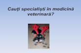 Cauţi specialişti în medicină - FMVBfmvb.ro/social/wp-content/uploads/2012/12/prezentare-clinica-2.ppt... · Teste de coagulare (Idexx-VetStat, Coag Dx) Sumar urin. ... Specialist