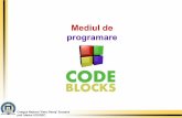 Mediul de programare - Marius · PDF file5 Mediul de programare C++ oferă instrumente pentru depanarea următoarelor tipuri de erori: • erori sintactice (în etapa de compilare);