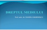 Prof. univ. dr. DANIELA MARINESCU - file.ucdc.rofile.ucdc.ro/cursuri/D_3_N34_Dreptul_mediului_Marinescu_Daniela.pdf · Conferinţele mondiale în domeniul protecţiei mediului şi