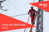 erințe HSE (SSM /SU/PM) - delgaz-grid.ro · PDF fileCerințe SSM / SU / PM 2 Legislație primară SSM ... - NTE 009/10/00 – Regulament general de manevre în instalațiile de medie
