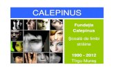 CALEPINUS prez 2012 RO · PDF fileCALEPINUS-scurt istoric în cifre 22 ani de activitate şi experien ţă în predarea limbilor str ăine pentru adul ţi peste 7.000 de cursan ţi