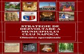 STRATEGIE DE DEZVOLTARE A MUNICIPIULUI CLUJ … operationale.pdf · Procesul de planificare strategică (PPS) a vizat definirea reperelor strategice de dezvoltare a comunităţii
