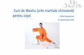 Curs de Wushu (arte martiale chinezesti) pentru copii ... · PDF fileSi continuam . • Mihai Serbanescu este membru al Clubului de arte martiale Shanghai Wushu din Bucuresti, infiintat