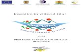 Gabriela - INCDSB procesare avansata RO.pdf · Obtinerea extractelor din plante medicinale. Tehnici de extractie. ... Curs de Procesare avansata a plantelor medicinale ...