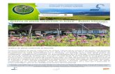 Grădina de plante medicinale în Ardeal Buletin informativnaturalherbs.ro/buletin9.pdf · unui curs de marketing, ... și bunătăți ale gastronomiei secuiești. Grădina de plante