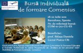 Nr. de referinţă bursă: COM-11-712-CG-ES Beneficiarisjolt.ot.edu.ro/Managemenet/Programe si proiecte comunitare/date... · stabilirea unor relaţii de colaborare cu ceilaţi parteneri