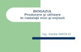 BIOGAZUL Producere şi utilizare în instalaţii mici şi · PDF fileConsumurile de materiale pentru instalaţiile de biogaz de 5 şi 10 m3, tip ICA. Generator de biogaz din Polonia.
