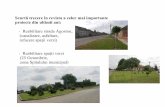 Scurta trecere in revista a celor mai importante proiecte ... · PDF file•Refacere Parc Dendrologic ... • Achiziţia terenului pe strada Tireamului; s-au achiziţionat 11,5 ha