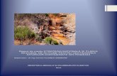Raport de mediu STRATEGIA NATIONALA SI PLANUL · PDF file- alunecări de teren provocate de declivitate, mişcări de la moderat - rapide la rapide ale maselor de pământ aflat deasupra