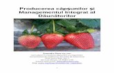 Producerea căpșunilor și Managementul Integrat al ... - pdf…pdf.usaid.gov/pdf_docs/PA00JGX1.pdf · De asemenea, crește sensibilitatea la boli și dăunători. Schema de mai
