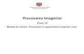 Procesarea Imaginilor - users.utcluj.rousers.utcluj.ro/~tmarita/IPL/IPCurs/C12.pdf · RGB-norm –nu prezinta invarianta la scalarea uniforma RGB: Technical University of Cluj Napoca