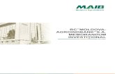 BC”MOLDOVA- AGROINDBANK”S.A. MEMORANDUM · PDF filehotărîrii Comisiei Nationale a Pieţei Financiare 19/7 din 29 ... 02 INFORMAŢIA PRIVIND VALORILE ... Actiuni ordinare nominative