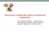 SITUATIACAINILOR FARA STAPAN IN ROMANIA - FVE ...fve.org/news/presentations/Stray Dog Seminar/adina ciurea - iasi... · (spatiu, resurse financiare ... aplicarea sanctiunilor. ...