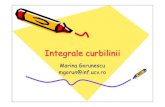 Integrale Integrale curbiliniicurbilinii - math.ucv.romath.ucv.ro/~gorunescu/courses/curs/csc7.pdf · IntegraleIntegrale curbiliniicurbilinii Marina Gorunescu ... Integrale curbilinii