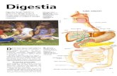 TUBUL DIGESTIV Digestia 'incepe 'indatii ce miincarea ...images3.wikia.nocookie.net/nccmn/ro/images/d/de/Digestia.pdf · Esofagul este o conduct:I musculo-membra-noas~ ale c~rei capete