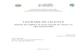 LUCRARE DE LICENȚĂ - acse.pub.roacse.pub.ro/wp-content/uploads/2013/07/Licenta_Voinea_Constantin... · vedere tehnologic, ... cu flux natural și schimbătorul de căldură. 4 ...