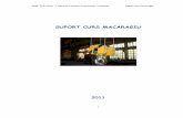 suport curs macaragiu - atp.ro · PDF fileMacarale, ascensoare, elevatoare, instala ţii de transport pe cablu, instala ţii de ridicat pe plan înclinat, poduri rulante şi alte mecanisme