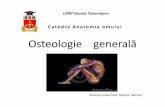 USMF Nicolae Testemițanu - Anatomia omuluianatomiaomului.usmf.md/wp-content/blogs.dir/68/files/sites/68/2014/... · Examenul radiologic
