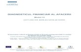DIAGNOSTICUL FINANCIAR AL AFACERII - · PDF fileProiect cofinanţat din Fondul Social European prin Programul Operaţional Sectorial Dezvoltarea Resurselor Umane 2007-2013 Investeşte