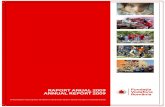 RAPORT ANUAL 2009 ANNUAL REPORT 2009 - fundatia …fundatia-vodafone.ro/wp-content/uploads/2016/07/raport-2009... · nevoiaşi prin servicii de îngrijire la domiciliu, cantină socială