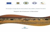 Strategia Integrată de Dezvoltare Durabilă a Deltei Dună · PDF fileii Acest raport reprezintă rezultatul corespunzător Activității 2-1 („Raportul de identificare a nevoilor