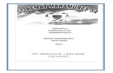 remat-mm.roremat-mm.ro/2017/Remat-raportul-Consiliului-de-Administratie.pdf · de reciclare Sta I.C.M,-Intreprinderea de Colectare a Materialelor care a luat fiinta in 1948, fiind