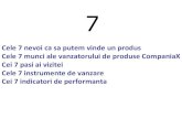 Cele 7 nevoi ca sa putem vinde un ... - training-vanzari.rotraining-vanzari.ro/wp-content/uploads/2011/12/Cele7... · echipa de vanzari din piata 2. CULEGERE DE INFORMATII 1. ...