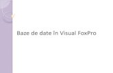 Baze de date în Visual FoxPro - elearning.usarb.mdelearning.usarb.md/.../2013/02/Baze-de-date-în-Visual-FoxPro.pdf · FoxPro FoxPro este un produs pentru crearea şi gestionarea