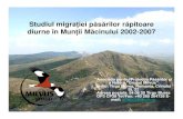 Studiul migraţiei păsărilor răpitoare diurne în Munţii M ...monitoring.sor.ro/Download/KomaromiI_migratie_Macin.pdf · Studiul migraţiei păsărilor răpitoare diurne în Munţii