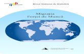 Migraţia Forţei de Muncă - brd.gov.md · PDF file3 Metodologia cercetării Migraţia Forţei de Muncă Cercetarea Migraţia forţei de muncă (MFM) asupra gospodăriilor populaţiei