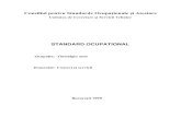 Consiliul pentru Standarde Ocupaţionale şi Atestare auto.pdf · Consiliul pentru Standarde Ocupaţionale şi Atestare Unitatea de Cercetare şi Servicii Tehnice STANDARD OCUPATIONAL