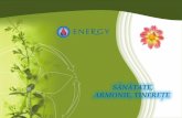 PowerPoint Presentation - energyvita.euenergyvita.eu/wp-content/uploads/2016/05/Catalog-produse-Energy... · Cremele produse de firma „ENERGY" completeazä actiunea produselor din