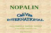 Nopalin - produs natural pentru reglarea metabolismului ...terapii-naturiste.com/calivita/articole-despre-produse/Nopalin.pdf · -converteşte colesterolul LDL în colesterol HDL