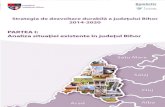 Cuprins - cjbihor.ro diagnostic.pdf · reprezentând analiza diagnostic a judeţului Bihor, spre a servi la fundamentarea strategiei de dezvoltare a judeţului propusă pentru perioada