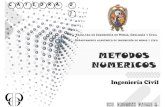 Catedra Metodos Numericos 2013 - UNSCH 01 [Modo de ... · PDF file• Geometría y Topología (geometría diferencial, física matemática, geometría computacional, topología, ...)